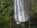 DSC04322