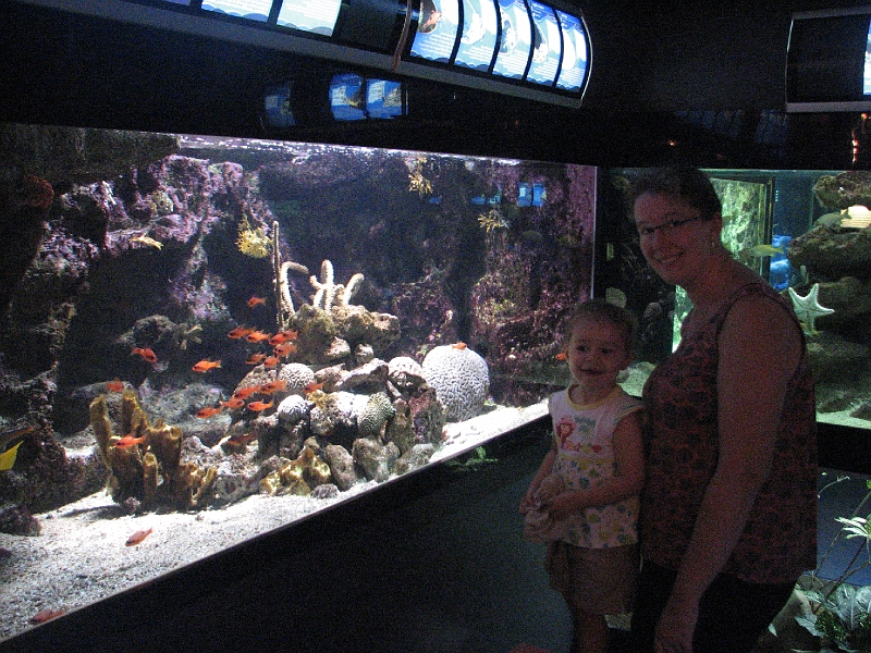 IMG_7487.JPG - Margaux et maman devant un des aquariums