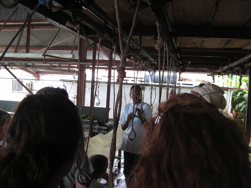 IMG_1236.JPG - Explications par Gis�le notre guide