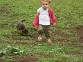 IMG_1241
