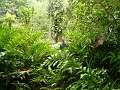 P1010250