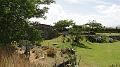 DSC01241