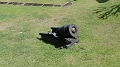 DSC01252