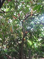 IMG_5773