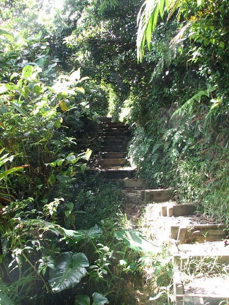 IMG_7214.JPG - Rien que des escaliers pour monter