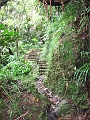 IMG_7223