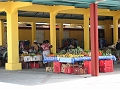 IMG_8287