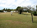 IMG_8559