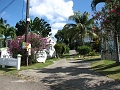 IMG_8580