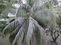 DSC02414