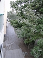 DSC02415