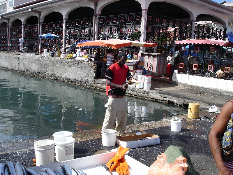 DSC03536.JPG - Ecaillage du poisson � peine p�ch�