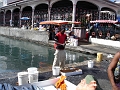 DSC03536