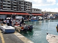 DSC03539