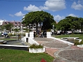 DSC03542