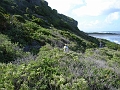 DSC03961