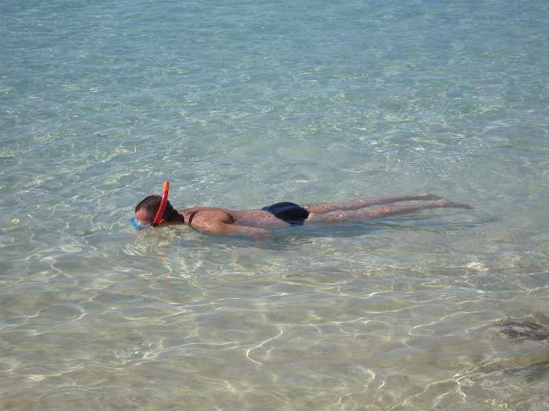 DSC04165.JPG - ...propice au Snorkeling