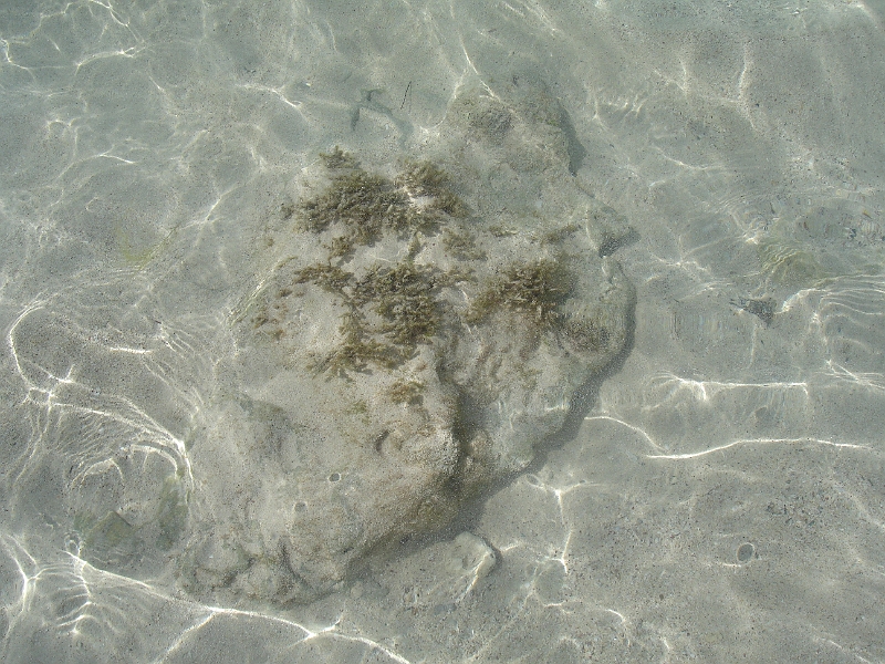DSC04166.JPG - Une eau limpide...