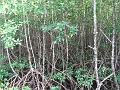 IMG_1873