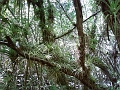 SP_A0097