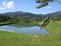 DSC04423