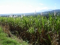 DSC04431