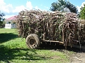 DSC04450