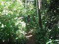 IMG_5675