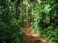 IMG_5678