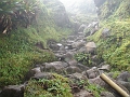DSC07238