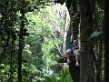 IMG_5002