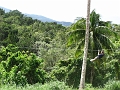 IMG_5035
