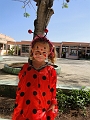 DSC02518